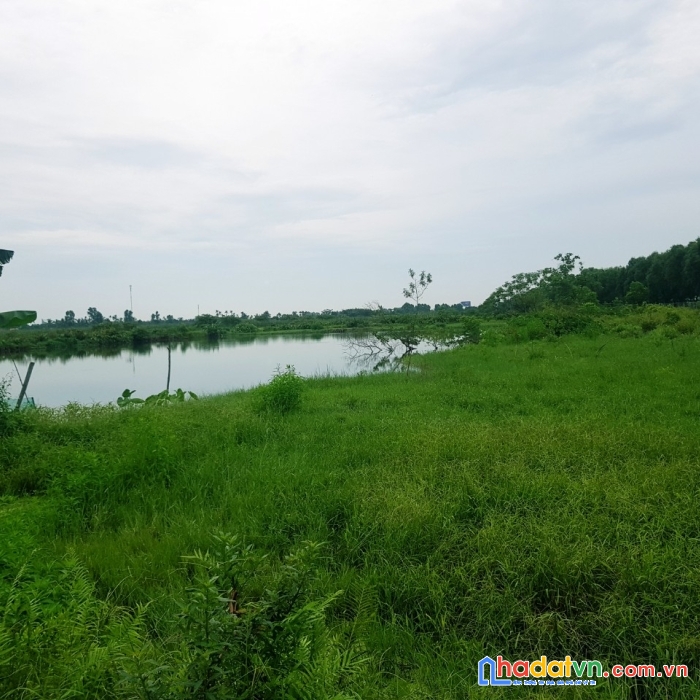 Lô đất 6458m đất nuôi trông thủy sản bám đường nhựa cao tốc hà nội - hải phòng  . kiến thụy , gía