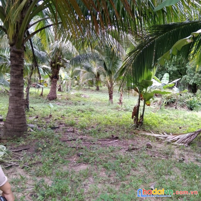 Chính chủ cần bán 3 lô đất