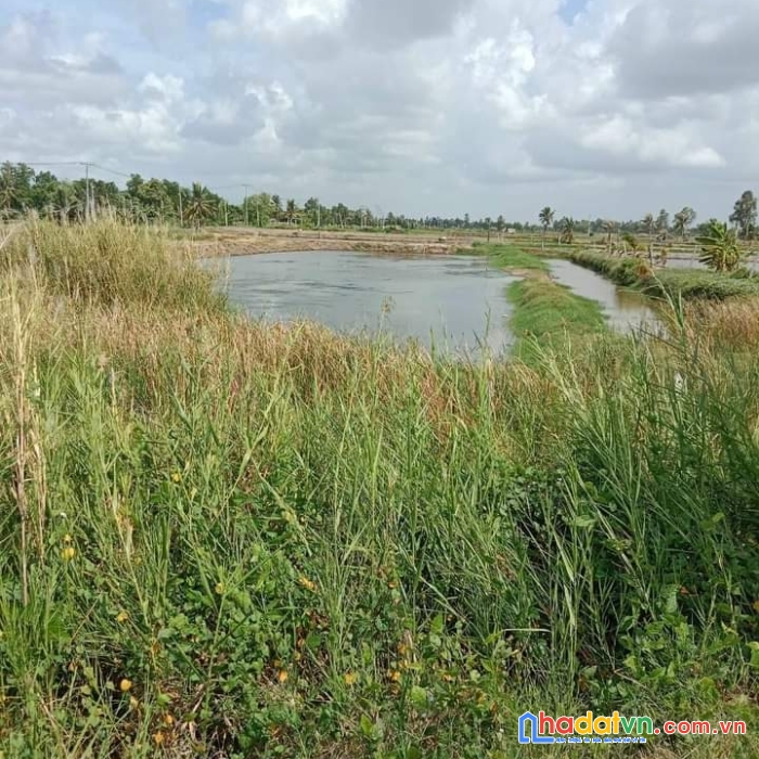 Cần bán nền mặc tiền lộ lớn gần cầu dù tho - tp. sóc trăng