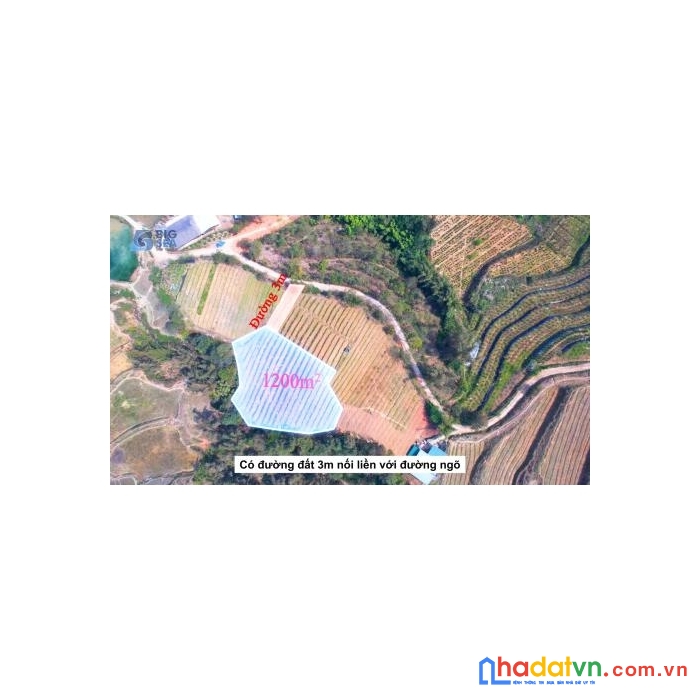 Mảnh đất 1200m ở sa pa quá đẹo để kinh doanh ( 0369583341)