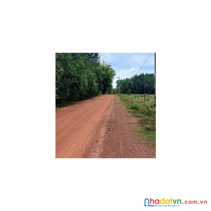 Chính chủ cần bán 2 lô đất liền kề ở bình phước