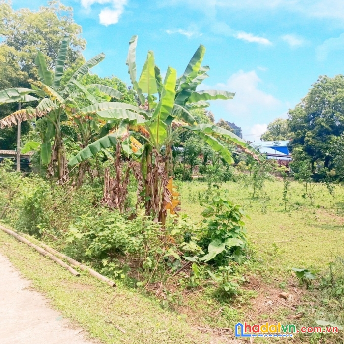 Chính chủ gửi bán lô góc bám đường bê tông to tại thanh sơn lương sơn hỏa bình giá chính chủ