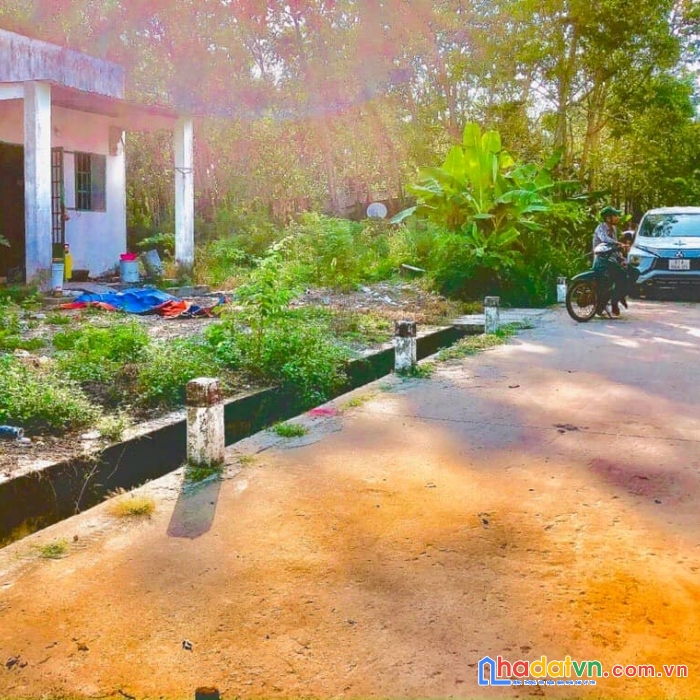 Cần bán đất minh hòa dầu tiếng  giá rẻ có nhà sẳn pháp lý rỏ ràng giá mềm