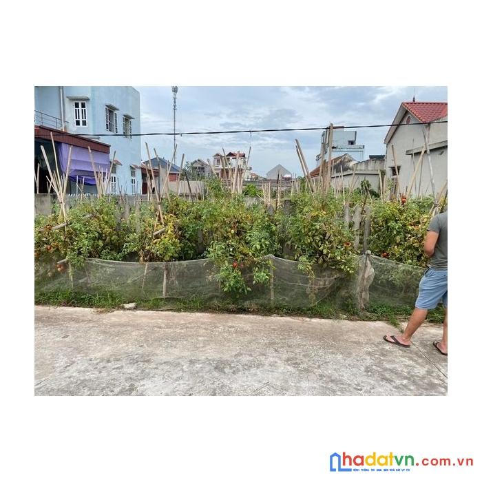 Bán gấp lô đất vị trí đẹp tại nam định