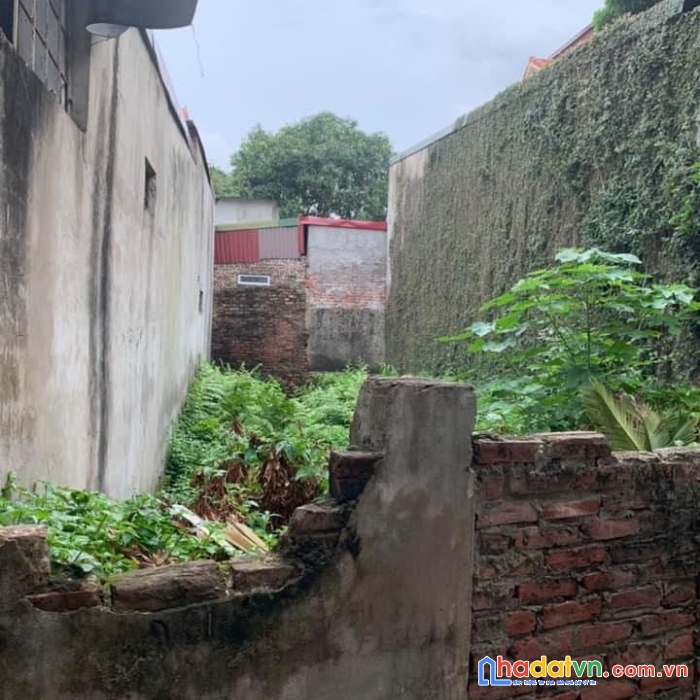 Đất đại áng dt:56m2 oto đỗ gần giá 1.4tỷ