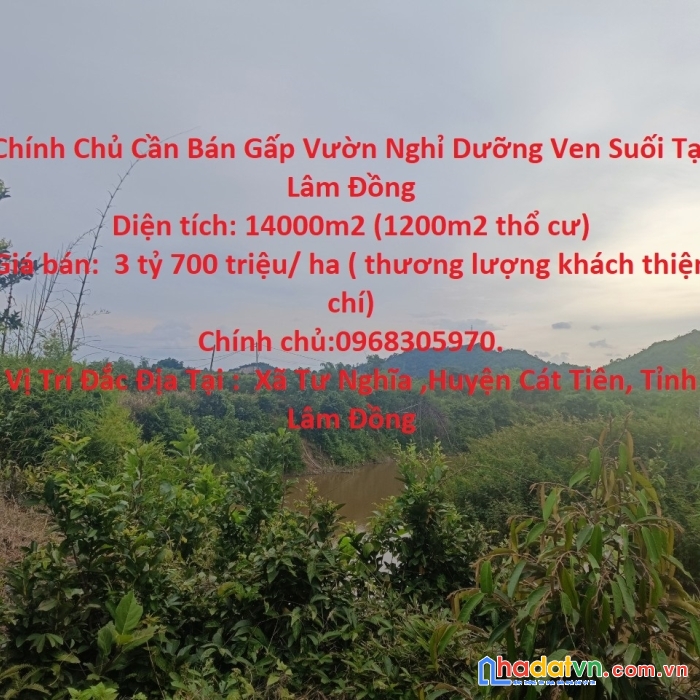 Chính chủ cần bán gấp vườn nghỉ dưỡng ven suối tại lâm đồng