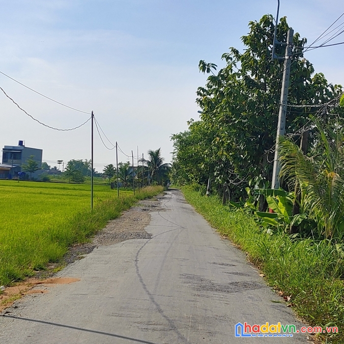 Đất nền khu tân kim cần giộc  long an 8tr/m2