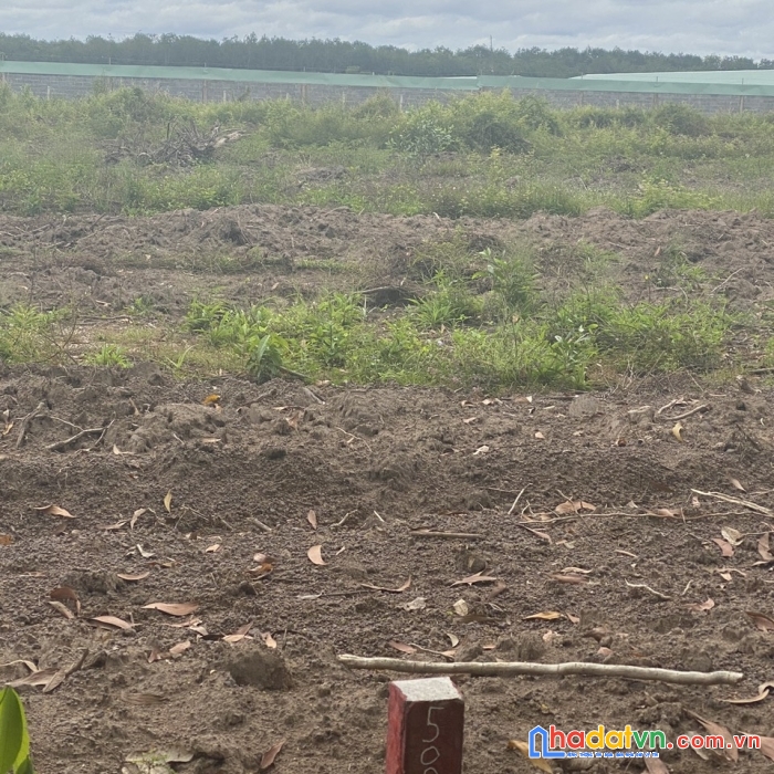 Chỉ hơn 800 triệu sở hữu ngay lô đất chính chủ hơn 1000m2 tại hớn quản bình phước