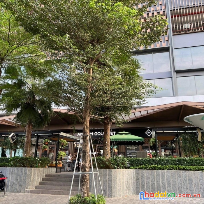 Bán căn shophouse 21 võ trường toản, thảo điền,quận 2