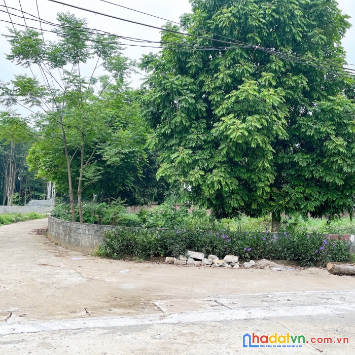 Chủ nhờ bán nhanh lô đất 189m 2 mặt tiền nằm ngay trục chính thôn cổ rùa ,phú mãn ,quốc oai hn