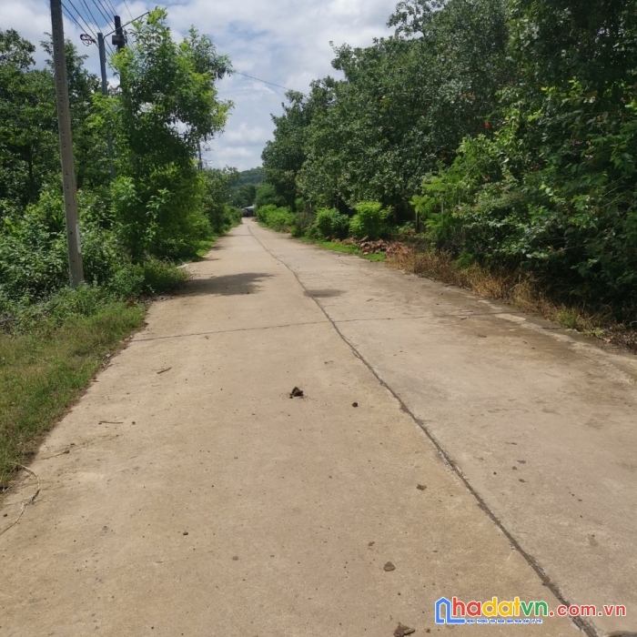 Chính chủ cần bán đất vị trí đẹp tại đồng nai