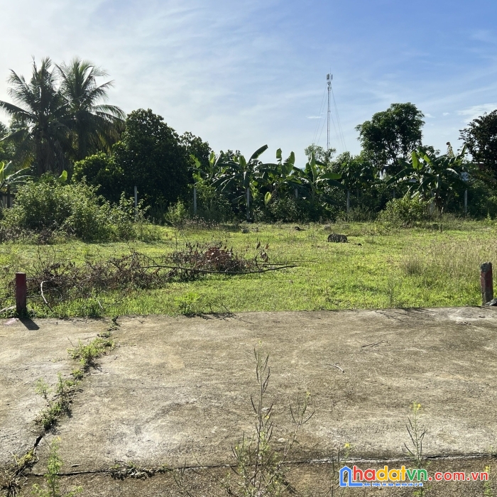 Bán đất diên thọ, diên khánh, khánh hoà. lh: 0986258943.