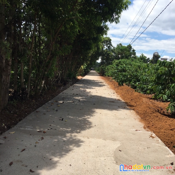 Cần bán lô đất tiềm năng tại thị trấn ia kha, ia grai