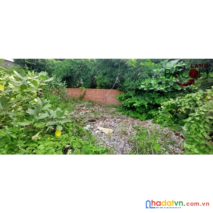 Bán đất shr full thổ cư gần ubnd phường hiệp hoà, đường ô tô, giá đầu tư