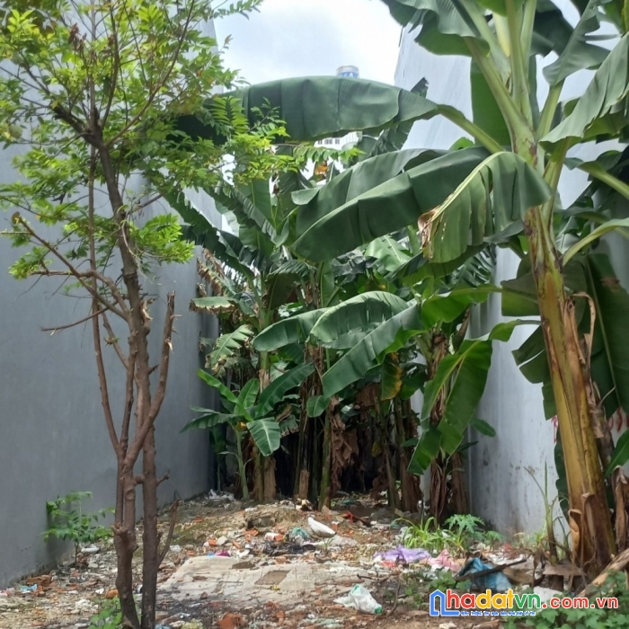 Bán đất vị trí đẹp mặt tiền đường bình chiểu thủ đức, 105m2, chỉ 5 tỷ