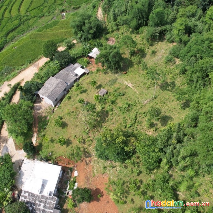 Chủ cần tiền gửi bán lô đất bám đường bê tông 100m tú sơn kim bôi hòa bình giá thỏa thuận