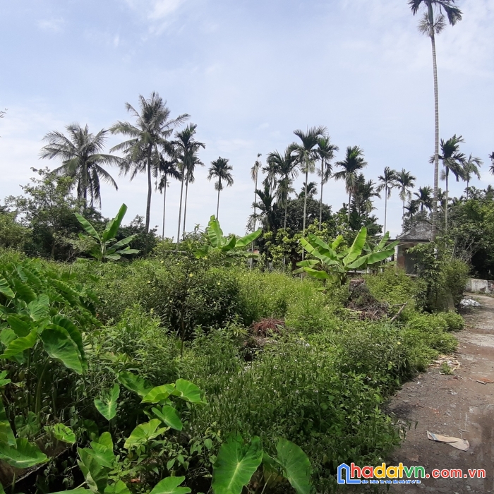 Siêu phẩm hơn nghìn mét vuông tại hòa nghĩa, dương kinh