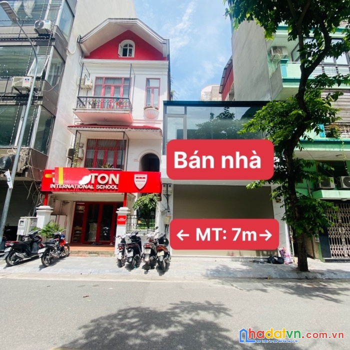 Chính chủ bán nhà mặt phố mai hắc đế 140m2.mặt tiền: 7m.vị trí ngã tư tuệ tĩnh-mai hắc đế giá 65 tỷ