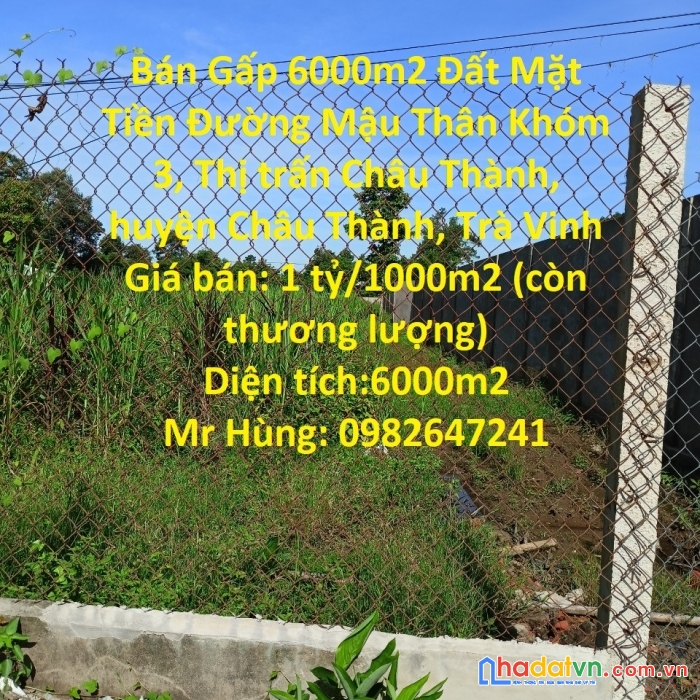 Bán gấp 6000m2 đất mặt tiền đường mậu thân tt châu thành, trà vinh