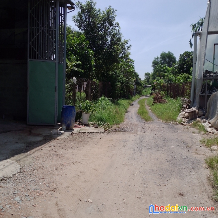 Cần bán lô đất ở ở nguyễn thị lắng, tân phú trung, củ chi