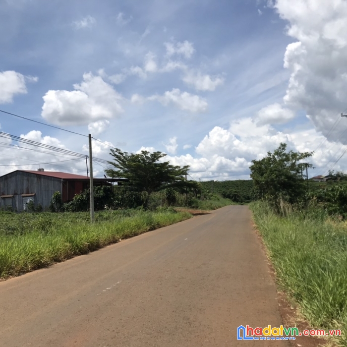 Mặt tiền lý thái tổ, damri, chỉ 1 tỷ 500 tr sào, quy hoạch full thổ cư