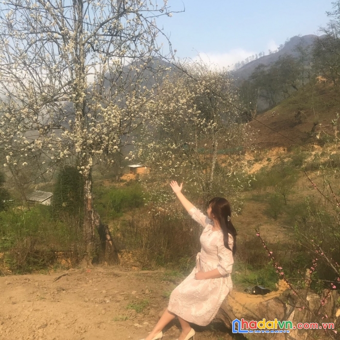 Siêu phẩm tại phìn hồ-sapa2 vị trí đắc địa đối diện khu đô thị mới ,view thung lũng bao quát hồ