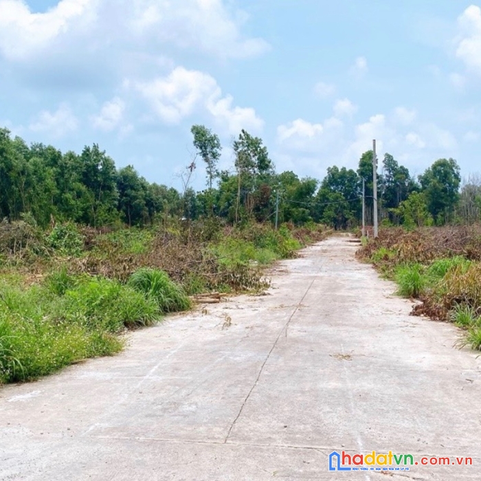 Chính chủ gửi bán 1280,7m2 đất khu phố 7, an thới, phú quốc