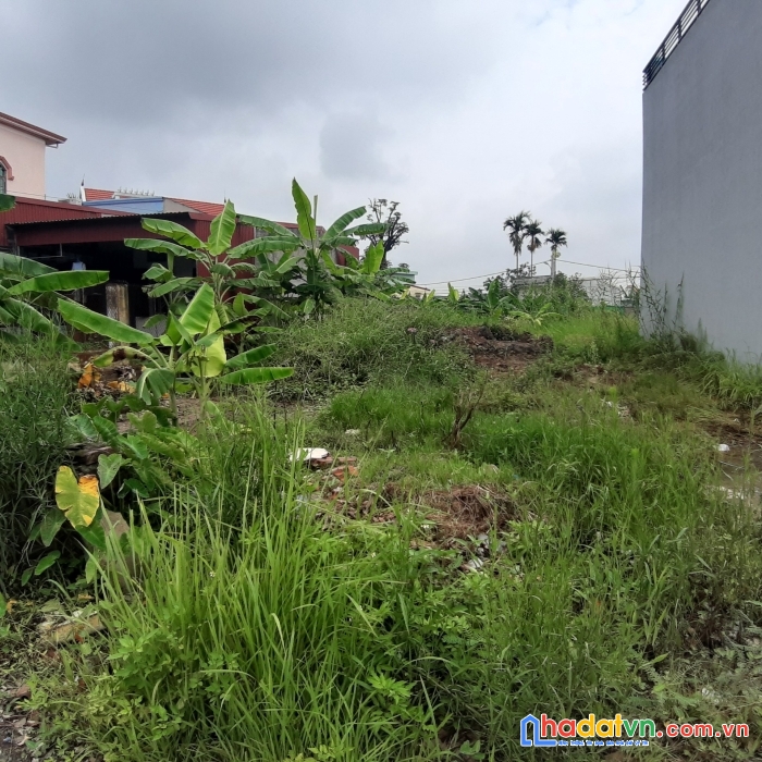 Siêu phẩm 271 m2 mặt đường hải phong, hòa nghĩa, dương kinh