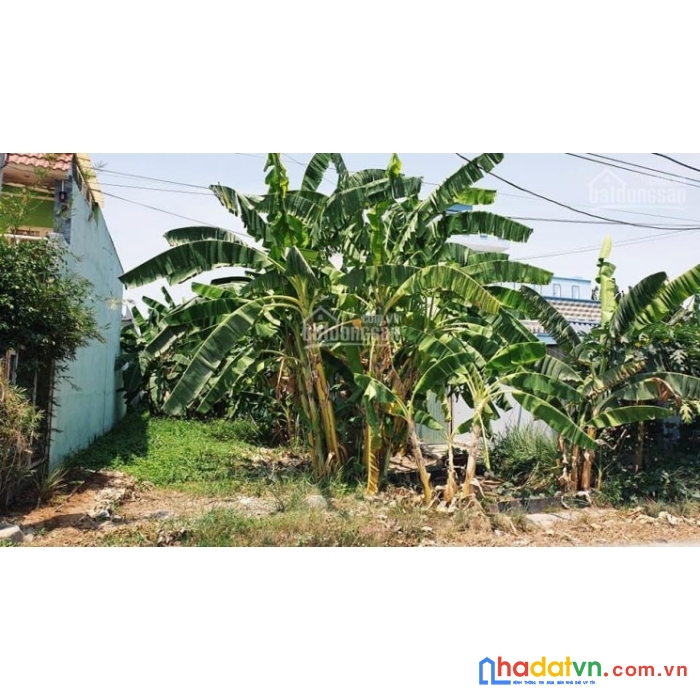 Đất nền thị trấn cần đước giá rẻ-100m-600 triệu-thổ cư-shr-lh 0908991827