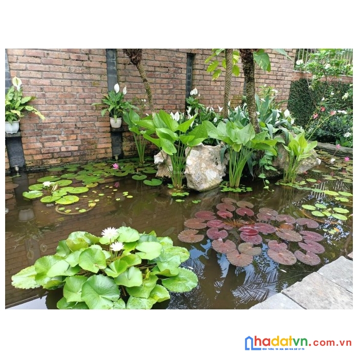 Chính chủ cần bán 1000m2 khu đất biệt thự nhà vườn, 162m2 đất ở, đường lớn, vỉa hè tại đông anh,