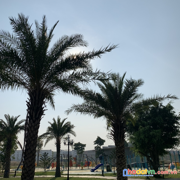 Chỉ 1ty700 thổ cư hạ tầng điện âm nước máy gần sân bay