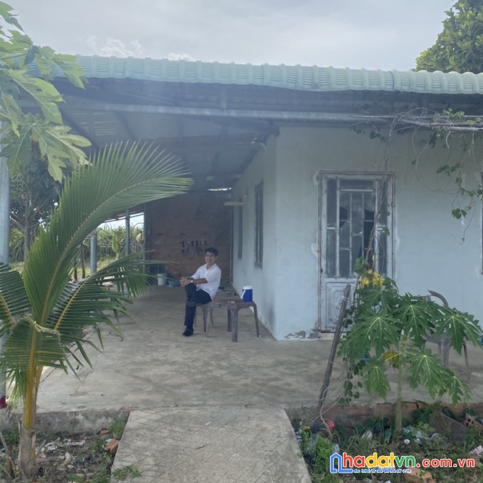 Cần bán 15184m đất tcln tại bình thuận