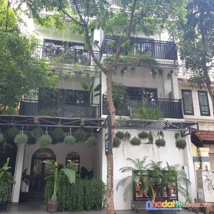 Bán gấp biệt thự siêu đẹp kđt yên hòa, đường trần kim xuyến, cầu giấy: 155m2, giá 51 tỷ