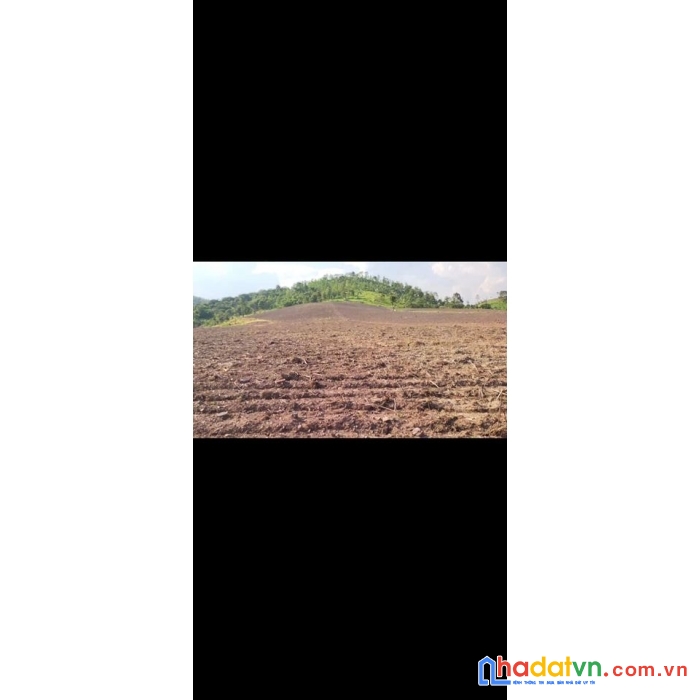 Bán 11 mẫu đất khu phố 2, thị trấn tân nghĩa, hàm tân, bình thuận