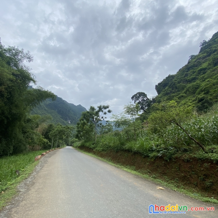 Chủ nhà cần tiền bán gấp