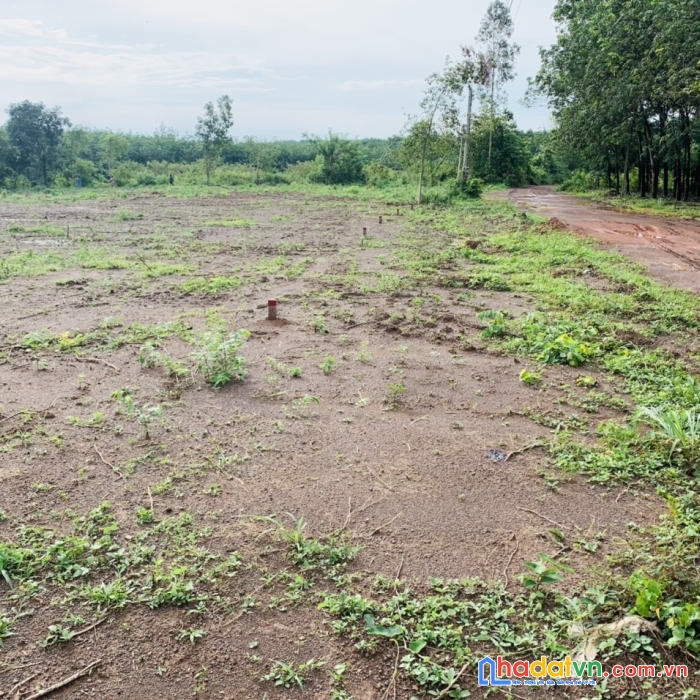 Bán gấp lô đất f0 cho nhà đầu tư lãi xuất sau 1 năm sổ hồng sẳn 200m2 chỉ 950