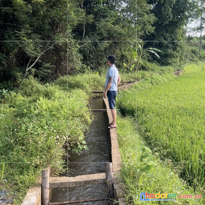 Chỉnh chủ cần bán gấp lô đất vị trí tại cao phong-hòa bình