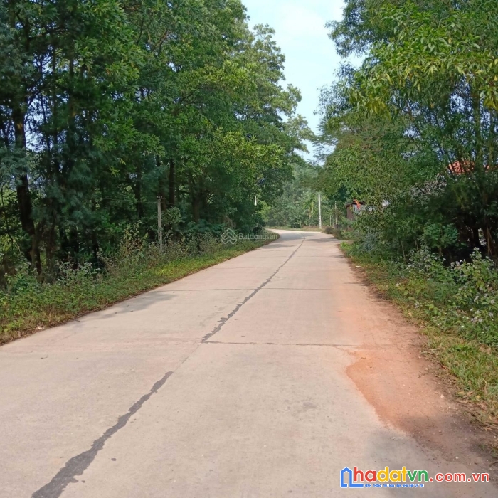 Bán đất 50 năm mặt đường vị trí đẹp tại vĩnh phúc.