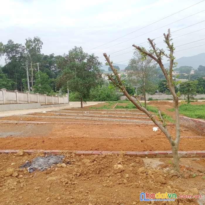 Bán lô liền kề xuân mai, chương mỹ, hà nội. chỉ với 700tr đã có ngay 110m2