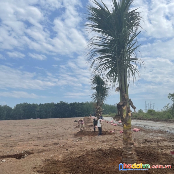 Bán nhanh những lô đất đẹp, tiềm năng đầu tư tại chơn thành bình phước