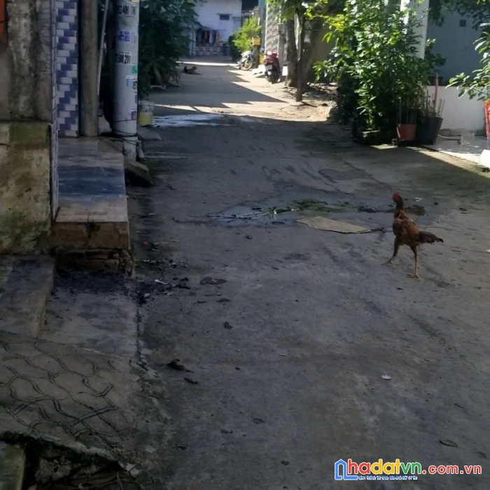 Chính chủ cần bán lô đất đẹp tại: huyện củ chi, thành phố hồ chí minh