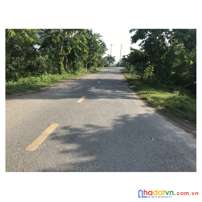 Đất đẹp view suối 1000m2 full thổ 18.5 tỷ chỉ có ở tân hiệp hóc môn