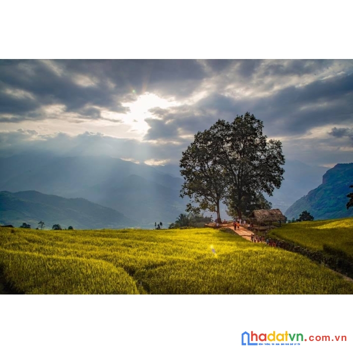 Hãy là những nhà thông thái trong bất động sản..