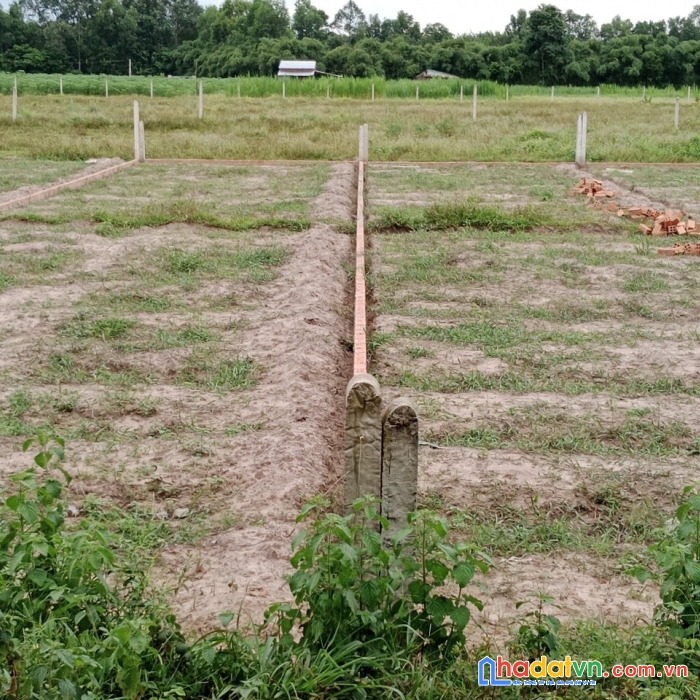 Cần bán gấp lô đất vị trí đẹp tại huyện bến cầu-tỉnh tây ninh