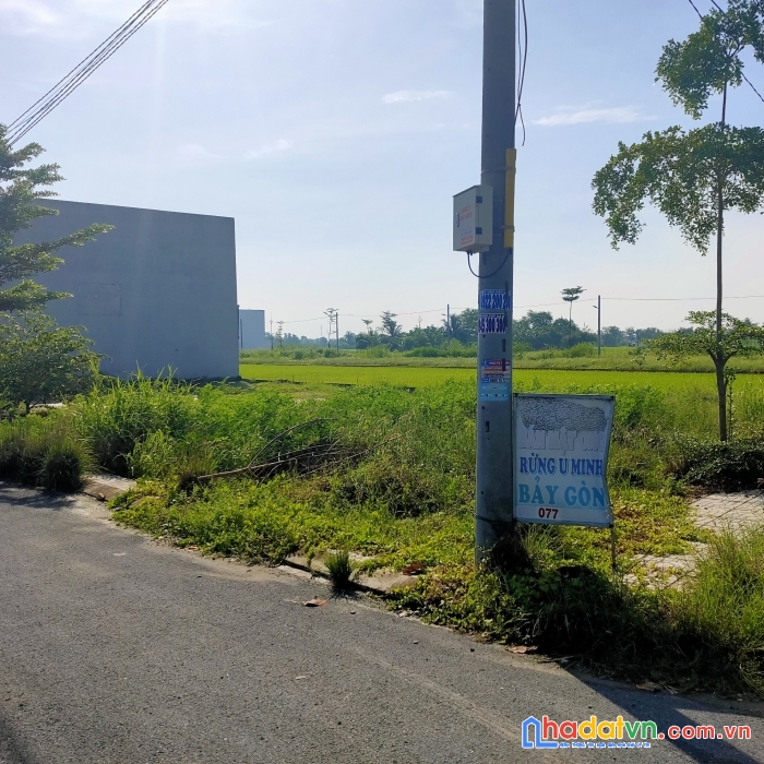 Chính chủ bán đất ngã tư xoài đôi mặt tiền dt826, long trạch, cần đước shr, giá 13tr/m2 thổ cư 100%