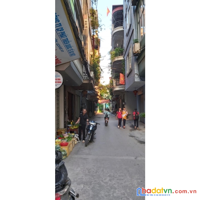 Bán nhà trần quốc hoàn 11 tỷ x 50m2, mt 3.7m. phân lô, 2 thoáng, ngõ thông, ô tô.