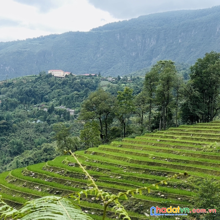 Cần bán mảnh đất siêu phẩm 668m2  lao chải 2, y tý. view săn mây, view ruộng bậc thang, view nhà