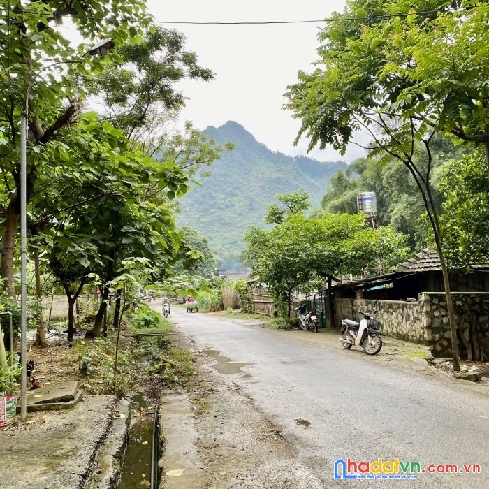 Mảnh đất 400m2 thôn đầu cầu 1 - cán tỷ - quản bạ - hà giang. thế lưng tựa núi full thổ cư