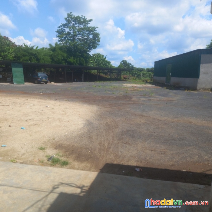 Bán lô đất chính chủ tại thôn 15, xã nam dong, huyện cư jút, đắk nông