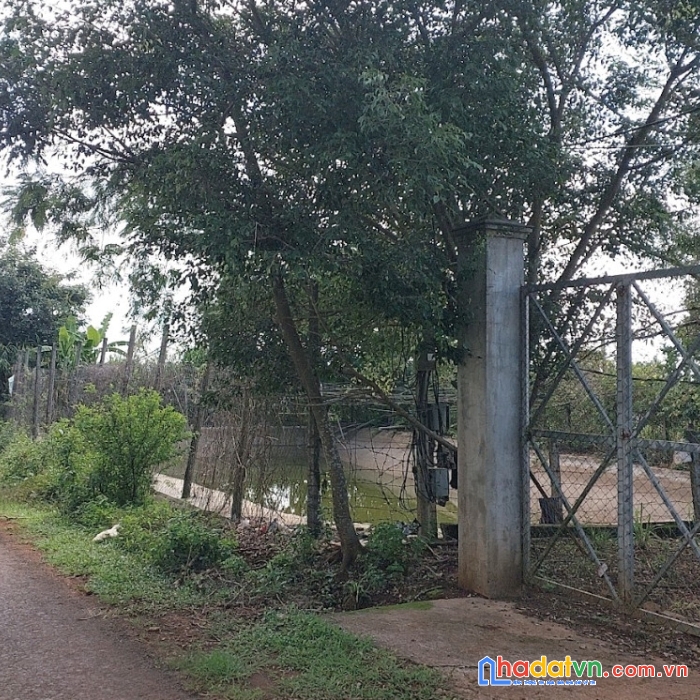 Gia đình cần bán mảnh đất trung tâm tp pleiku giá 580 ngìn 1m2 ( chính chủ)